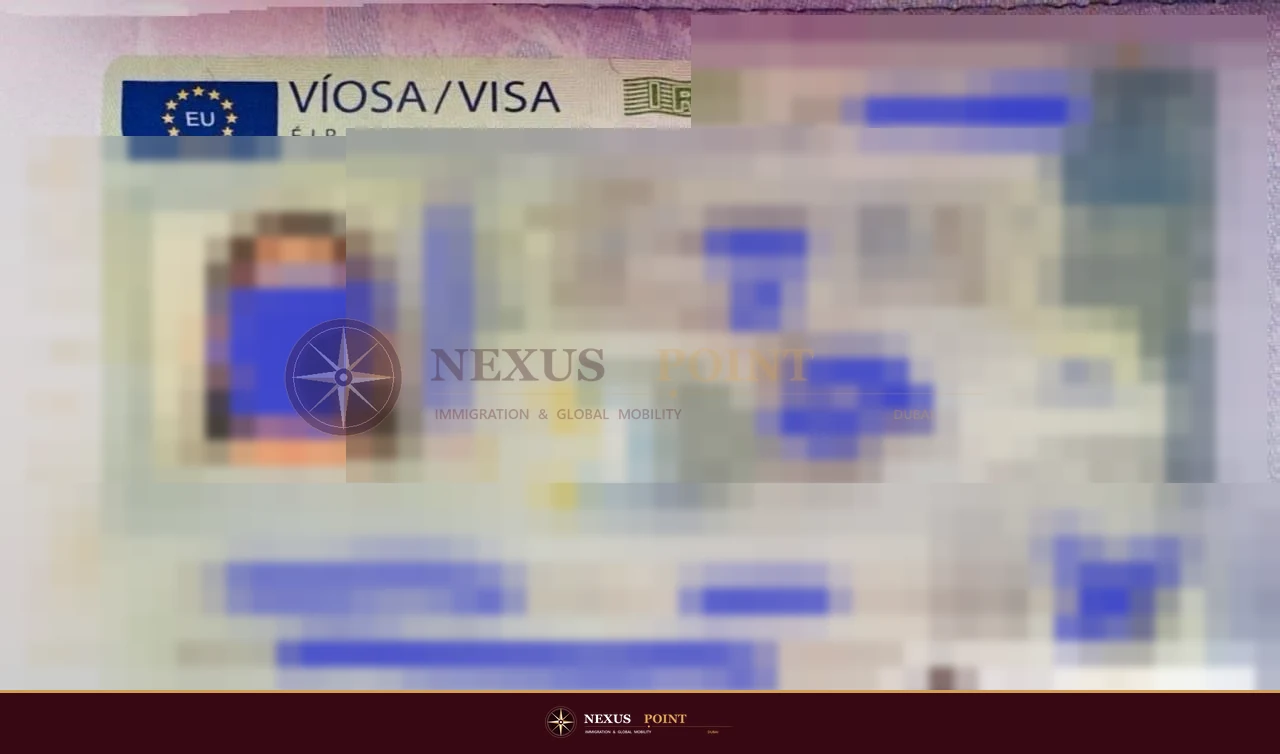 Privacy-safe preview of Schengen visa approval