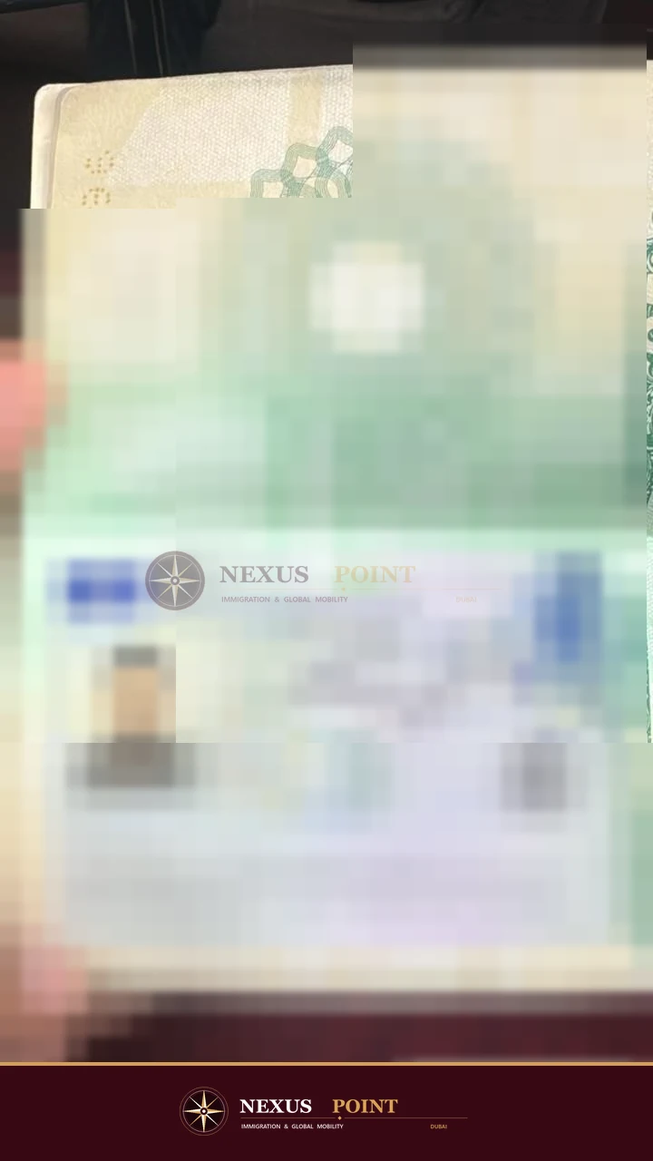 Privacy-safe preview of Schengen visa approval